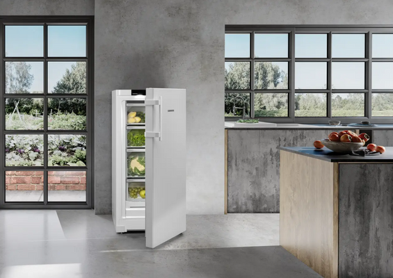 Chłodziarka Liebherr RBa30 425i Prime